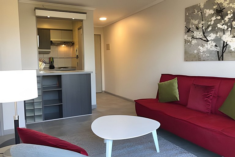 1 Dorm Full Equipo en Barrio Tranquilo Providencia