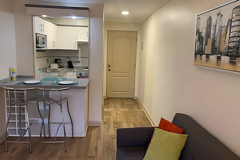 1 Dorm Full Equipo en Barrio Tranquilo Providencia
