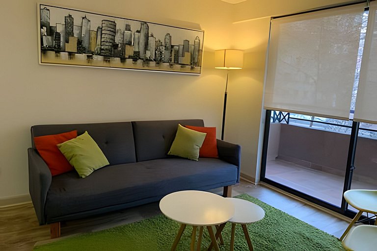 1 Dorm Full Equipo en Barrio Tranquilo Providencia