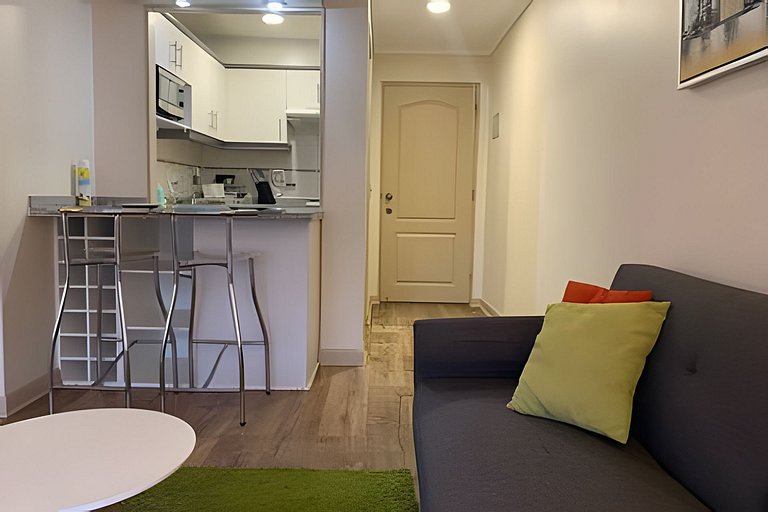 1 Dorm Full Equipo en Barrio Tranquilo Providencia