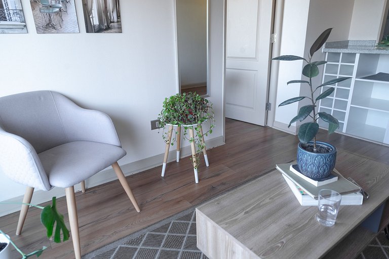 1BR Doble en Barrio Tranquilo, Metro Salvador