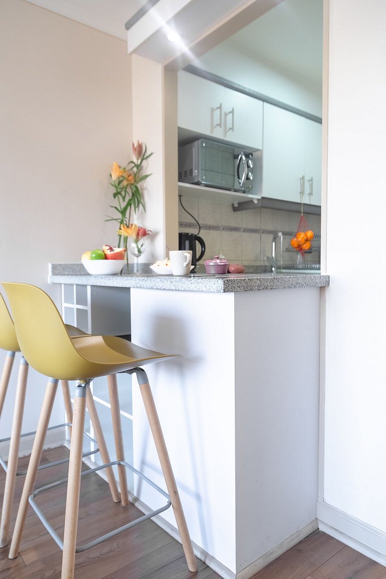 1BR Doble en Barrio Tranquilo, Metro Salvador