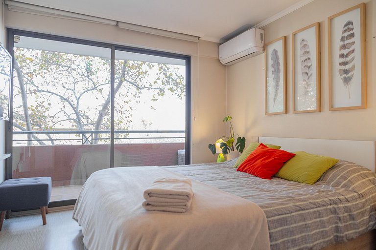 1BR Doble + Full Equipo, Residencial Providencia
