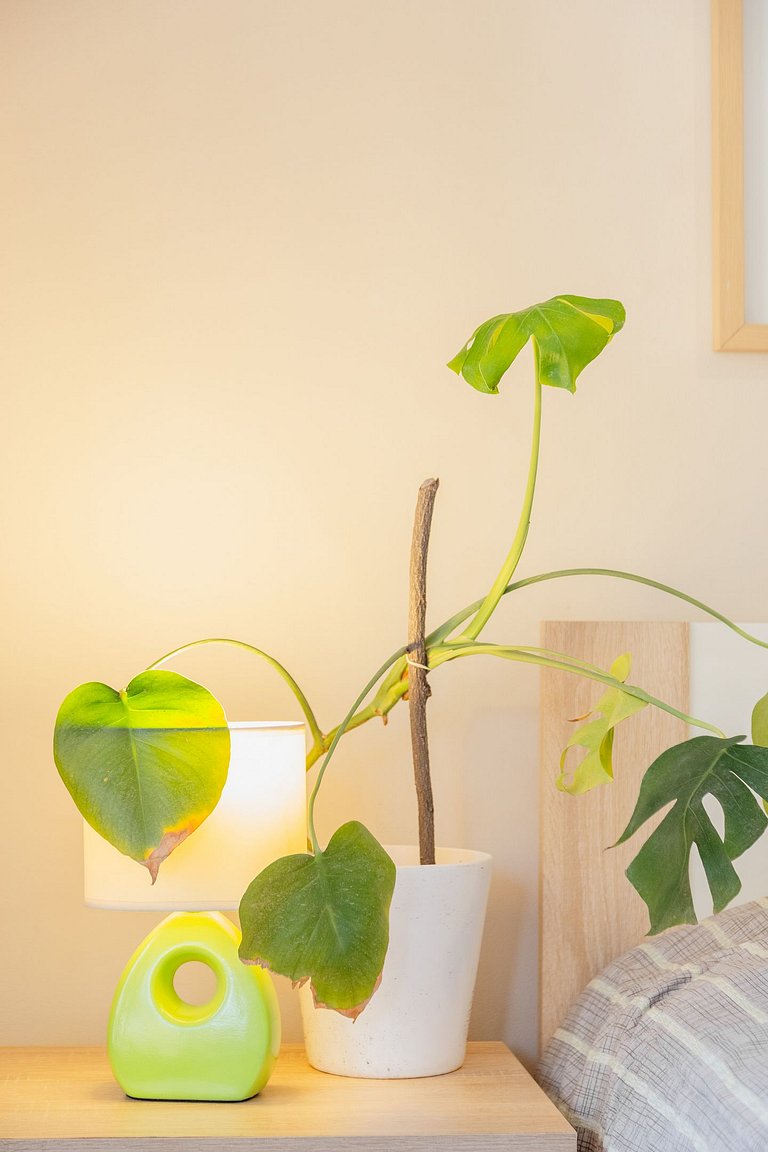 Tranquilo y luminoso, ideal para descansar