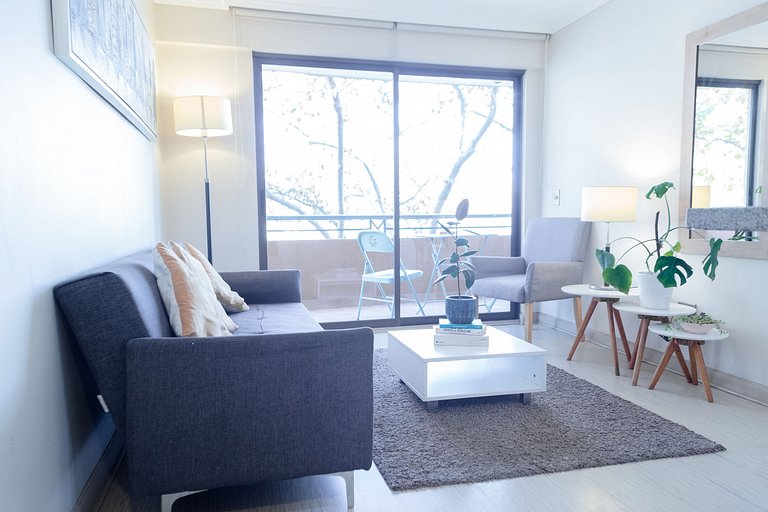 1BR Doble + Full Equipo, Residencial Providencia