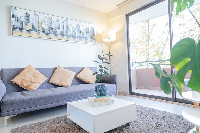 1BR Doble + Full Equipo, Residencial Providencia