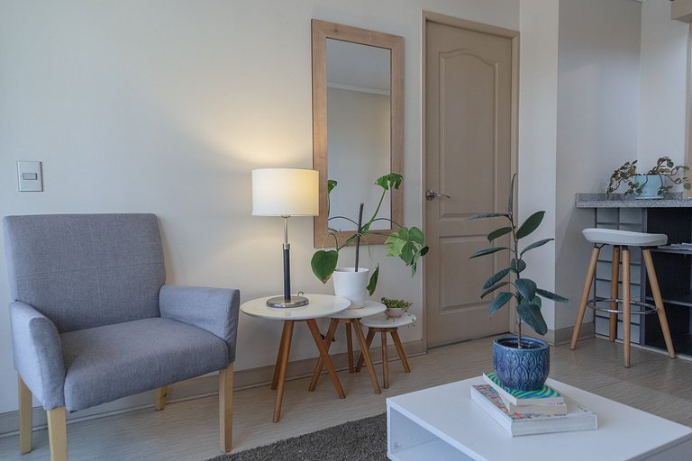 1BR Doble + Full Equipo, Residencial Providencia