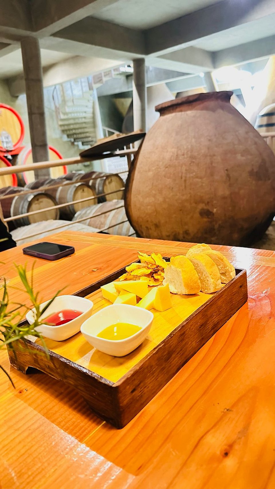 Wine Experience – Bodegas Re + Casas del Bosque